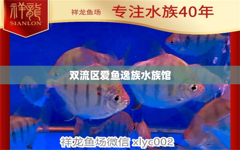 双流区爱鱼逸族水族馆