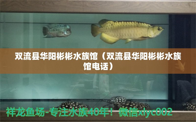 双流县华阳彬彬水族馆（双流县华阳彬彬水族馆电话）