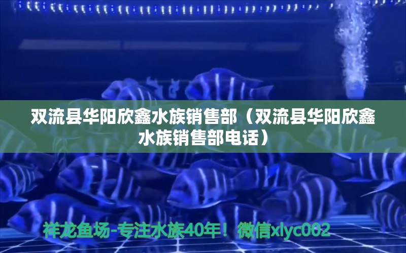 双流县华阳欣鑫水族销售部（双流县华阳欣鑫水族销售部电话） 全国水族馆企业名录