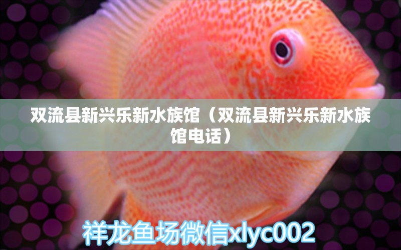 双流县新兴乐新水族馆（双流县新兴乐新水族馆电话） 全国水族馆企业名录