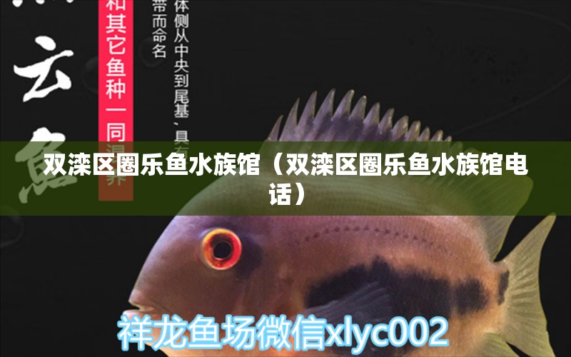 双滦区圈乐鱼水族馆（双滦区圈乐鱼水族馆电话）