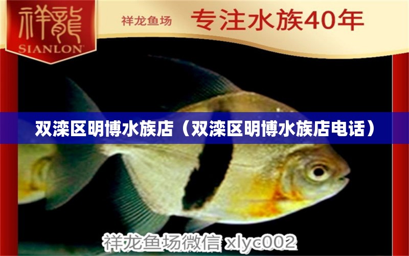 双滦区明博水族店（双滦区明博水族店电话）