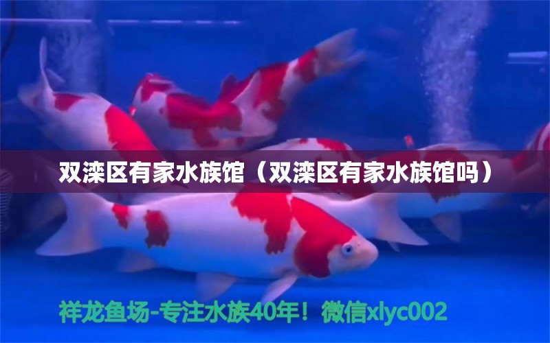 双滦区有家水族馆（双滦区有家水族馆吗）