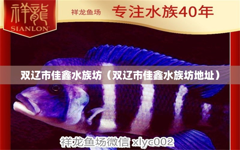 双辽市佳鑫水族坊（双辽市佳鑫水族坊地址）