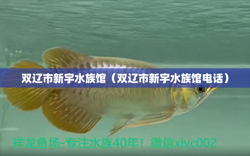 双辽市新宇水族馆（双辽市新宇水族馆电话）