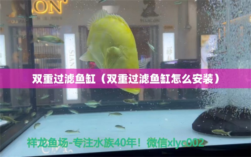 双重过滤鱼缸（双重过滤鱼缸怎么安装） 战车红龙鱼