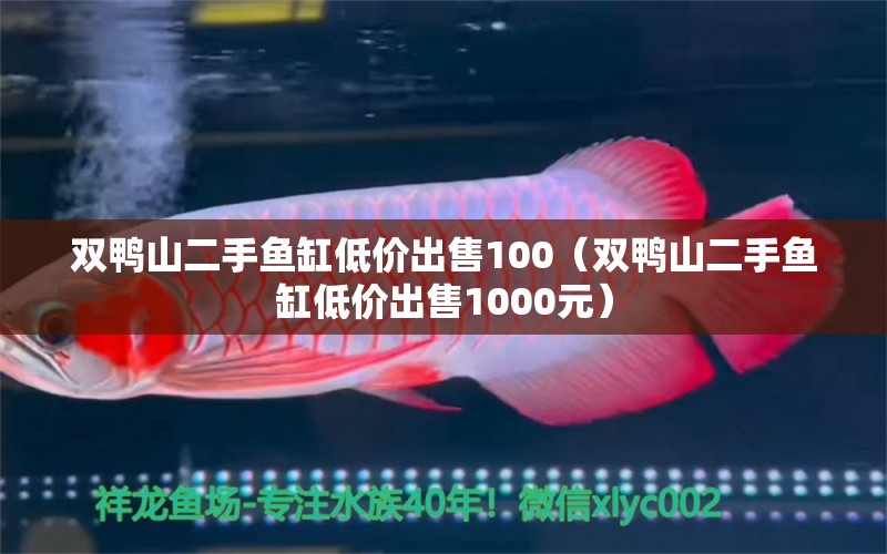 双鸭山二手鱼缸低价出售100（双鸭山二手鱼缸低价出售1000元）