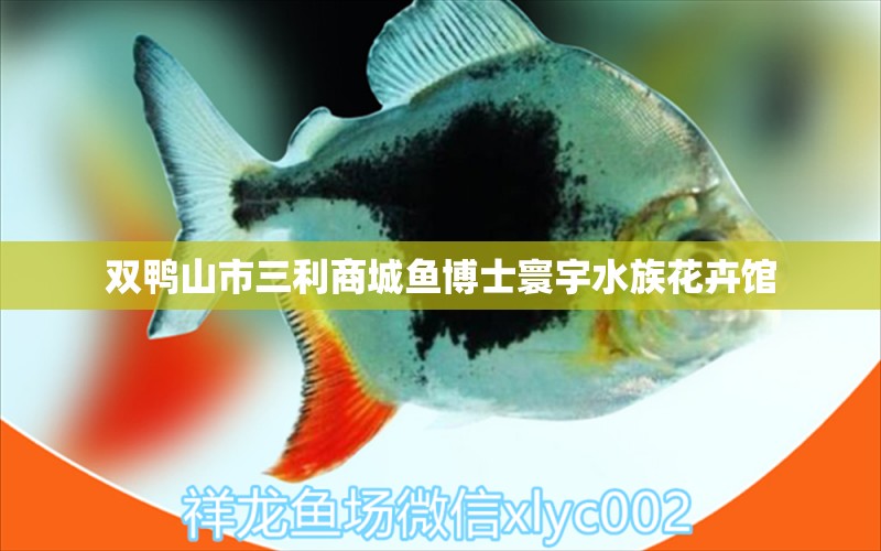 双鸭山市三利商城鱼博士寰宇水族花卉馆