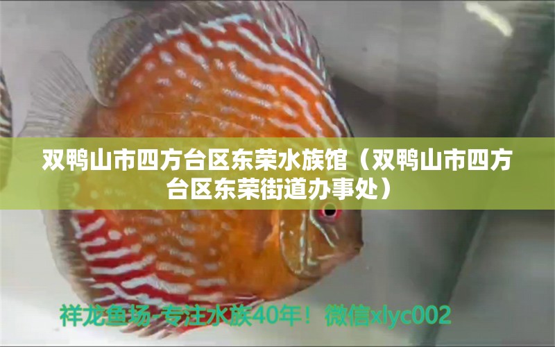 双鸭山市四方台区东荣水族馆（双鸭山市四方台区东荣街道办事处）