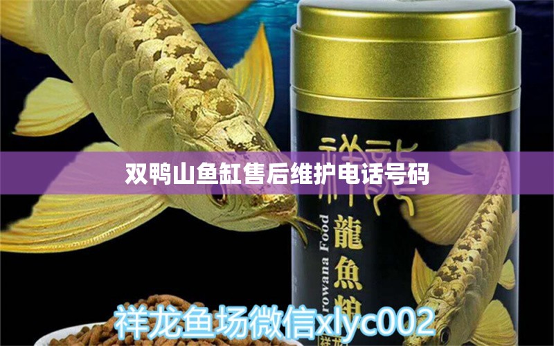 双鸭山鱼缸售后维护电话号码