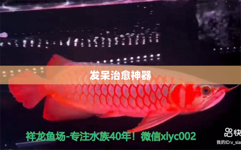 发呆治愈神器 祥龙水族护理水