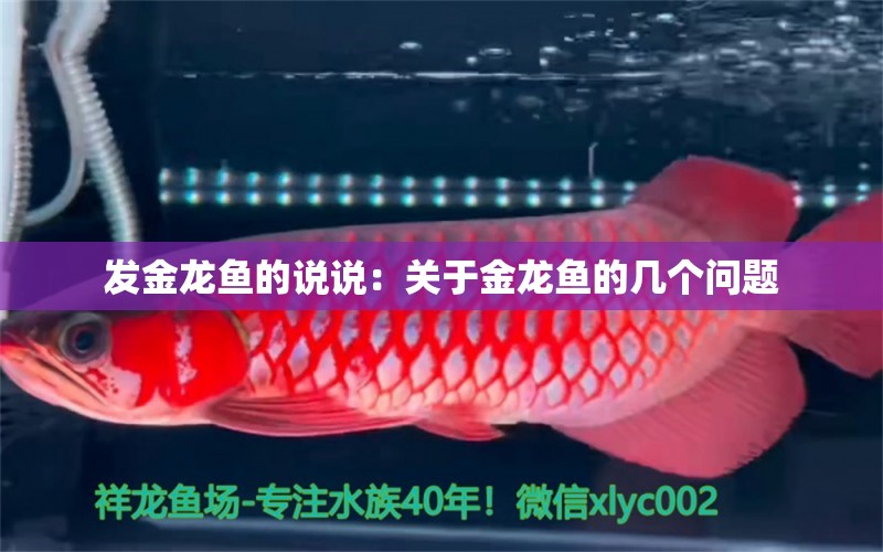 发金龙鱼的说说：关于金龙鱼的几个问题 水族问答 第2张