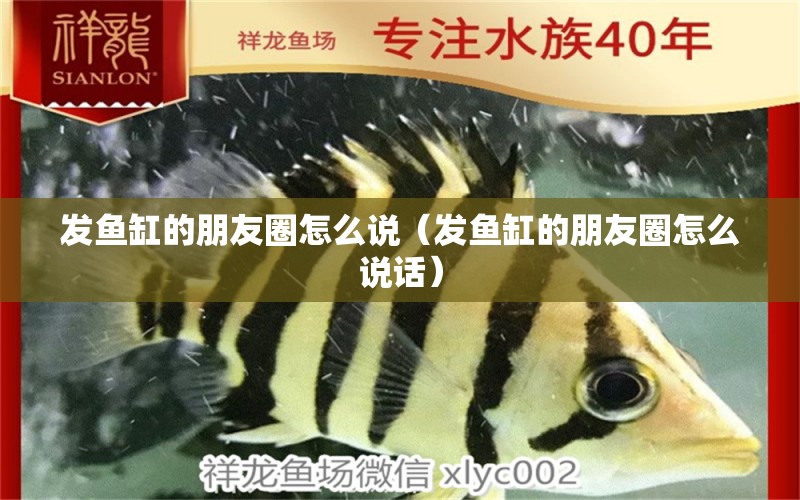 发鱼缸的朋友圈怎么说（发鱼缸的朋友圈怎么说话） 祥龙水族医院