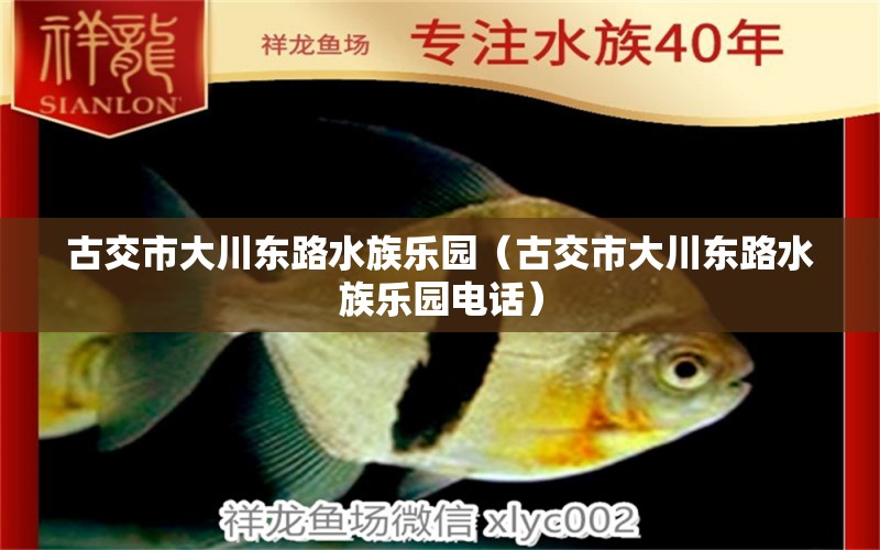 古交市大川东路水族乐园（古交市大川东路水族乐园电话） 全国水族馆企业名录