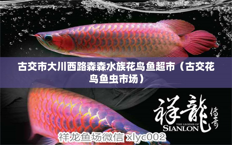 古交市大川西路森森水族花鸟鱼超市（古交花鸟鱼虫市场） 全国水族馆企业名录