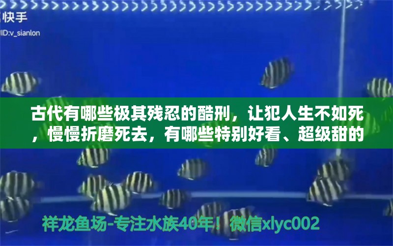 古代有哪些极其残忍的酷刑，让犯人生不如死，慢慢折磨死去，有哪些特别好看、超级甜的韩剧推荐