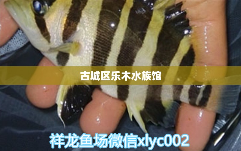 古城区乐木水族馆 全国水族馆企业名录