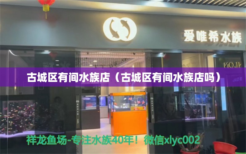 古城区有间水族店（古城区有间水族店吗）