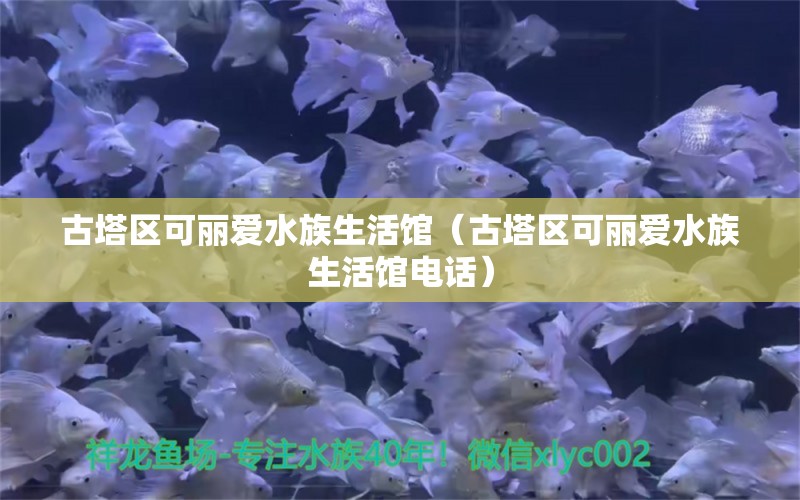 古塔区可丽爱水族生活馆（古塔区可丽爱水族生活馆电话） 全国水族馆企业名录