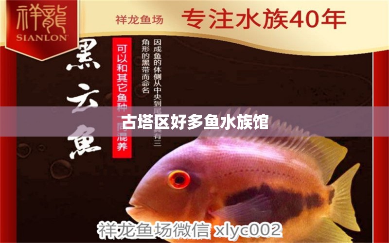 古塔区好多鱼水族馆 全国水族馆企业名录