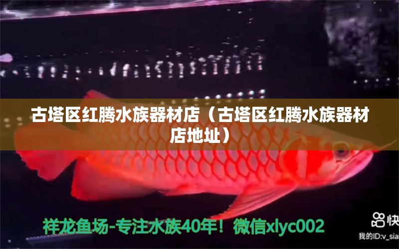 古塔区红腾水族器材店（古塔区红腾水族器材店地址） 全国水族馆企业名录