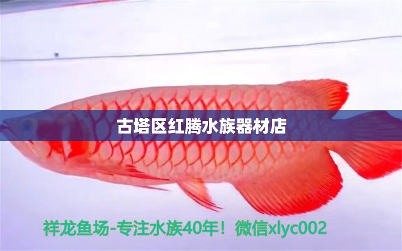 古塔区红腾水族器材店 全国水族馆企业名录