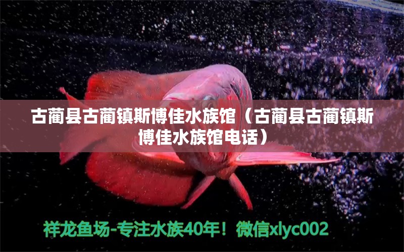 古蔺县古蔺镇斯博佳水族馆（古蔺县古蔺镇斯博佳水族馆电话） 全国水族馆企业名录