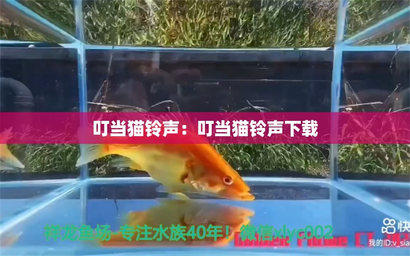 叮当猫铃声：叮当猫铃声下载