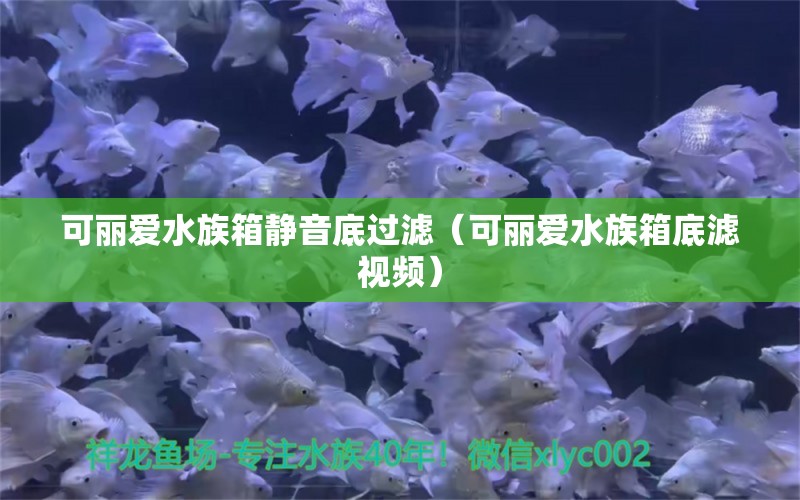 可丽爱水族箱静音底过滤（可丽爱水族箱底滤视频）