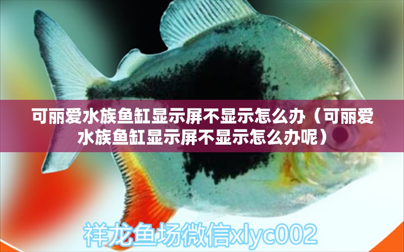 可丽爱水族鱼缸显示屏不显示怎么办（可丽爱水族鱼缸显示屏不显示怎么办呢） 观赏鱼市场（混养鱼）