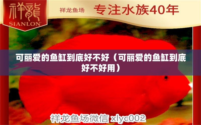 可丽爱的鱼缸到底好不好（可丽爱的鱼缸到底好不好用） iwish爱唯希品牌鱼缸