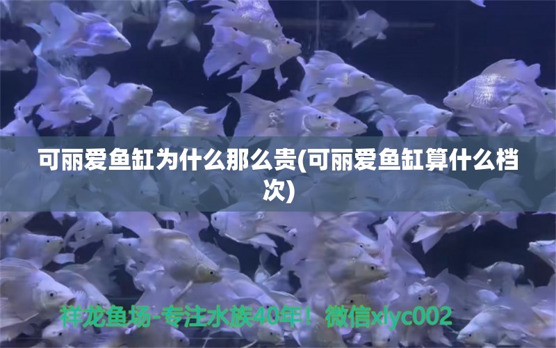 可丽爱鱼缸为什么那么贵(可丽爱鱼缸算什么档次) 全国水族馆企业名录