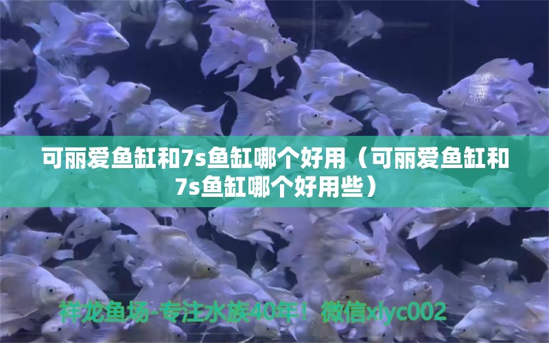 可丽爱鱼缸和7s鱼缸哪个好用（可丽爱鱼缸和7s鱼缸哪个好用些）