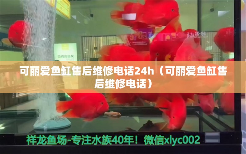 可丽爱鱼缸售后维修电话24h（可丽爱鱼缸售后维修电话）