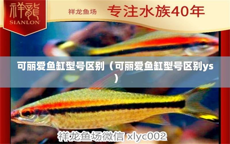 可丽爱鱼缸型号区别（可丽爱鱼缸型号区别ys） 翡翠凤凰鱼