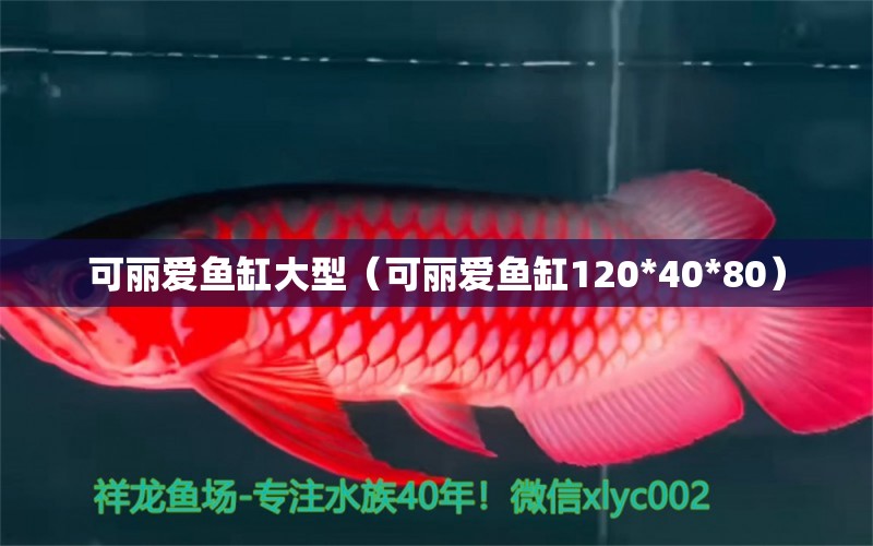 可丽爱鱼缸大型（可丽爱鱼缸120*40*80） iwish爱唯希品牌鱼缸