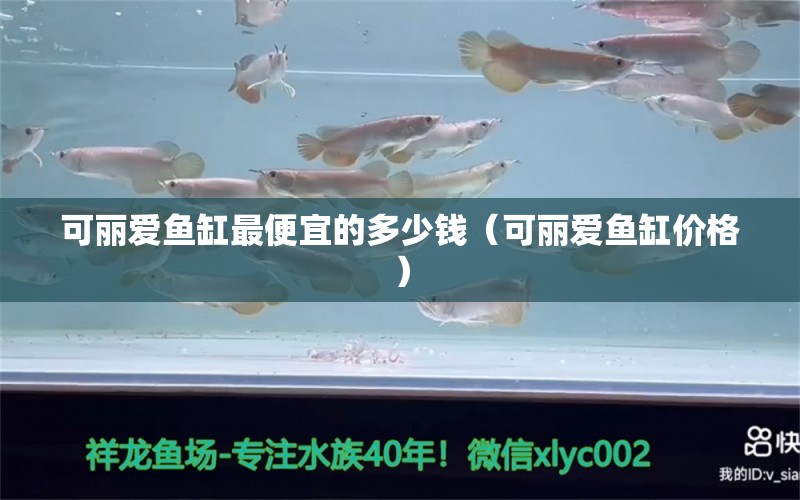 可丽爱鱼缸最便宜的多少钱（可丽爱鱼缸价格） iwish爱唯希品牌鱼缸