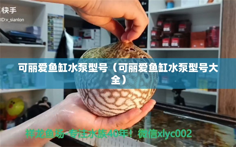 可丽爱鱼缸水泵型号（可丽爱鱼缸水泵型号大全）