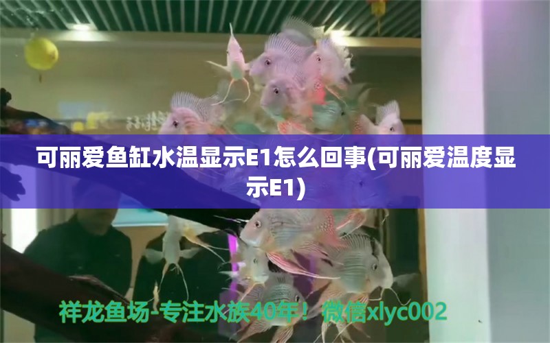 可丽爱鱼缸水温显示E1怎么回事(可丽爱温度显示E1)