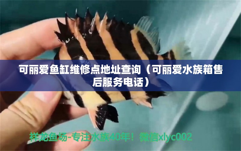 可丽爱鱼缸维修点地址查询（可丽爱水族箱售后服务电话）