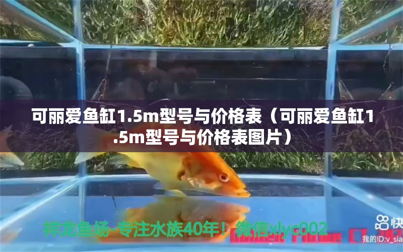 可丽爱鱼缸1.5m型号与价格表（可丽爱鱼缸1.5m型号与价格表图片）