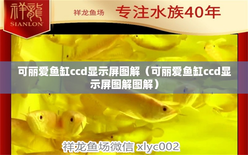 可丽爱鱼缸ccd显示屏图解（可丽爱鱼缸ccd显示屏图解图解） 鱼缸百科 第1张