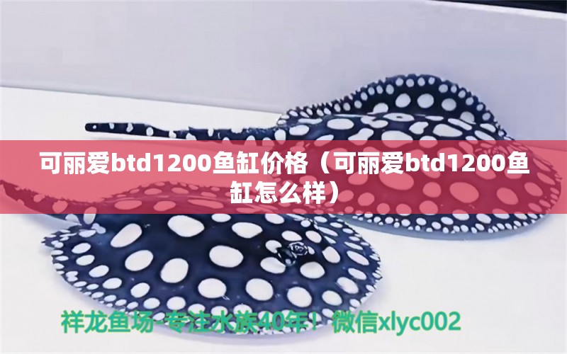 可丽爱btd1200鱼缸价格（可丽爱btd1200鱼缸怎么样）