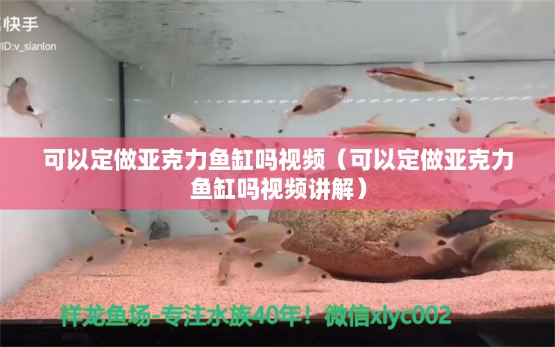 可以定做亚克力鱼缸吗视频（可以定做亚克力鱼缸吗视频讲解）