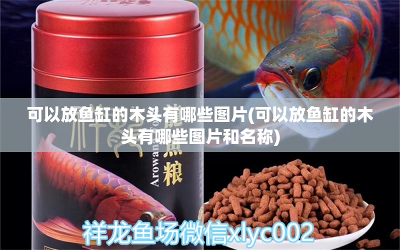 可以放鱼缸的木头有哪些图片(可以放鱼缸的木头有哪些图片和名称) 照明器材 第1张