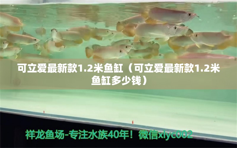 可立爱最新款1.2米鱼缸（可立爱最新款1.2米鱼缸多少钱） 鱼缸百科