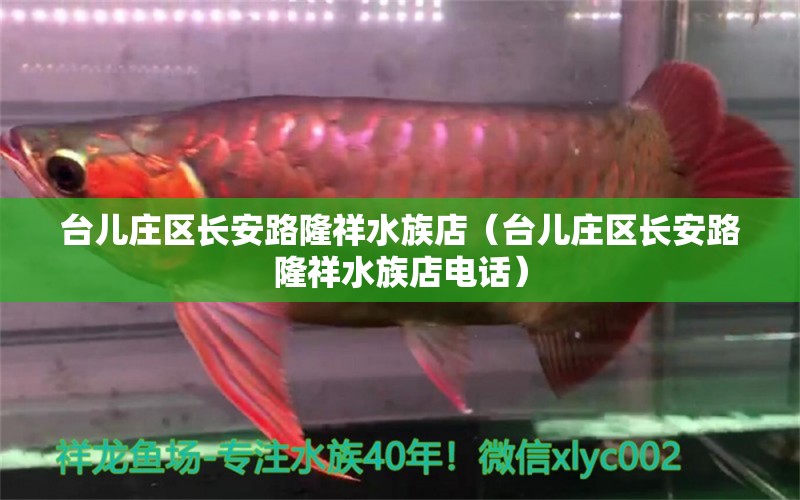 台儿庄区长安路隆祥水族店（台儿庄区长安路隆祥水族店电话） 全国水族馆企业名录