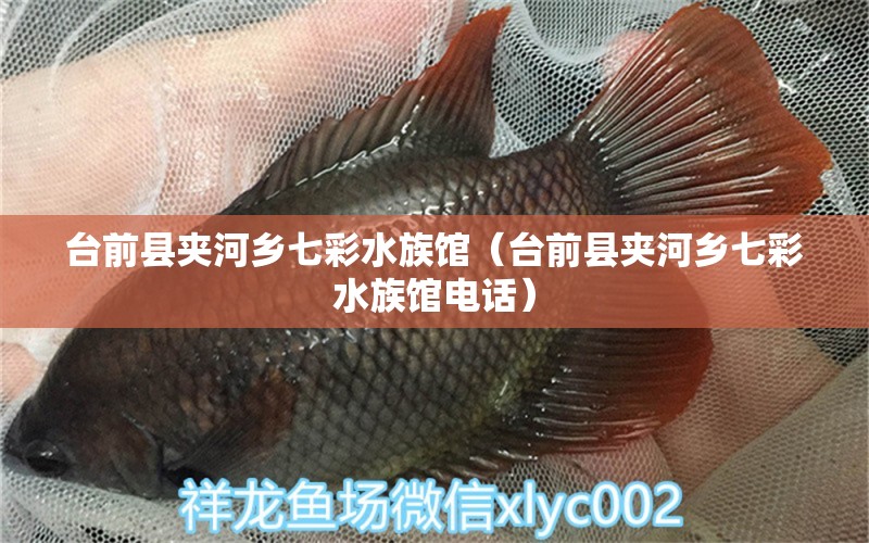 台前县夹河乡七彩水族馆（台前县夹河乡七彩水族馆电话） 全国水族馆企业名录