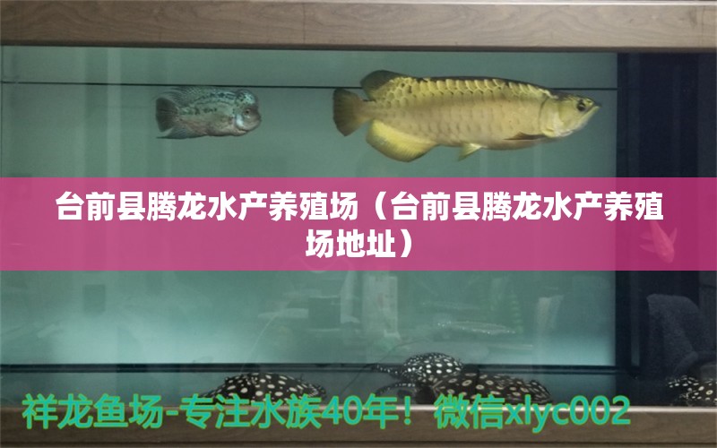 台前县腾龙水产养殖场（台前县腾龙水产养殖场地址） 全国水族馆企业名录