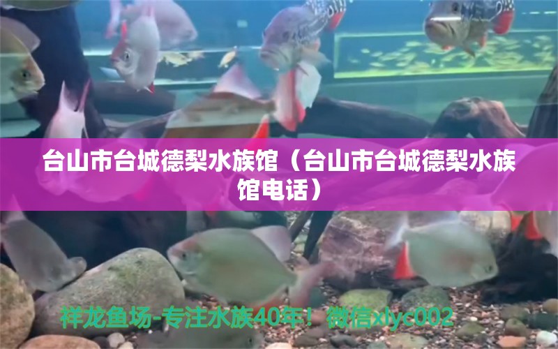 台山市台城德梨水族馆（台山市台城德梨水族馆电话）